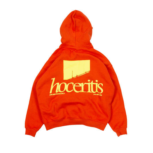 Statement Hoodie